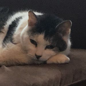 Meet your Posher, DaisyfromApt12